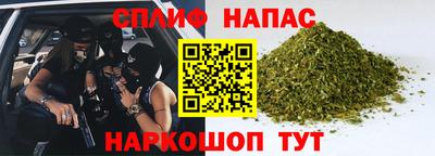 apvp Можга