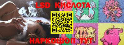 apvp Можга