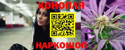 apvp Можга